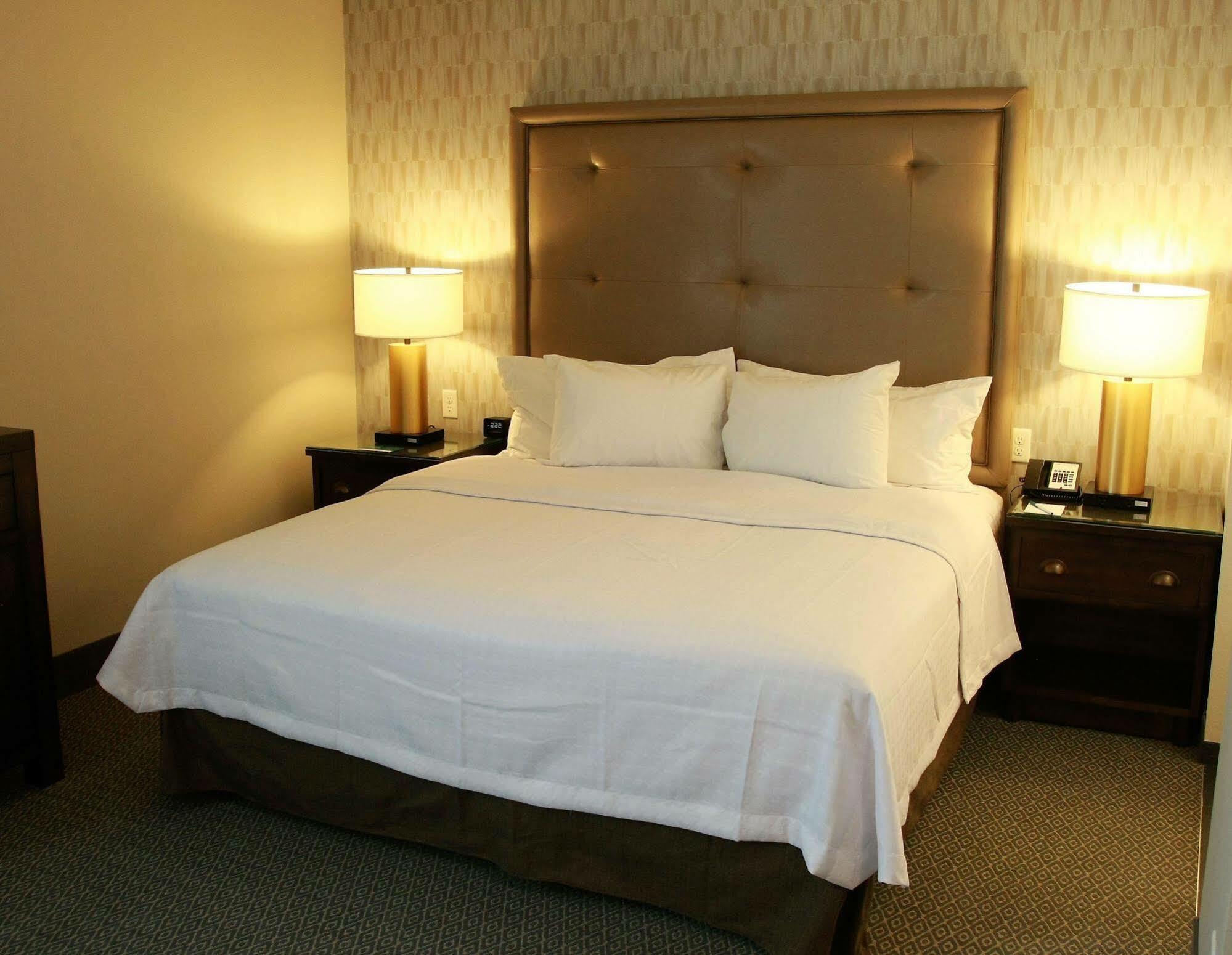 Homewood Suites By Hilton Dallas Arlington South Экстерьер фото